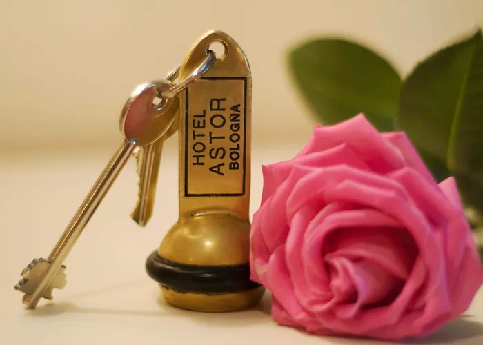 阿斯特酒店 酒店 3*